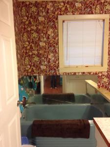 10423449_10152028237337330_1200096603_n